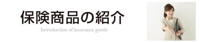 みらいコンサルティング[保険商品の紹介]